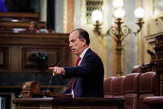 El diputado del Grupo Mixto, Carlos García Adanero