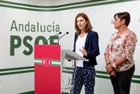 PSOE de Almería llama a las mujeres para "recuperar la agenda de la igualdad" ante la "negra gestión" del PP