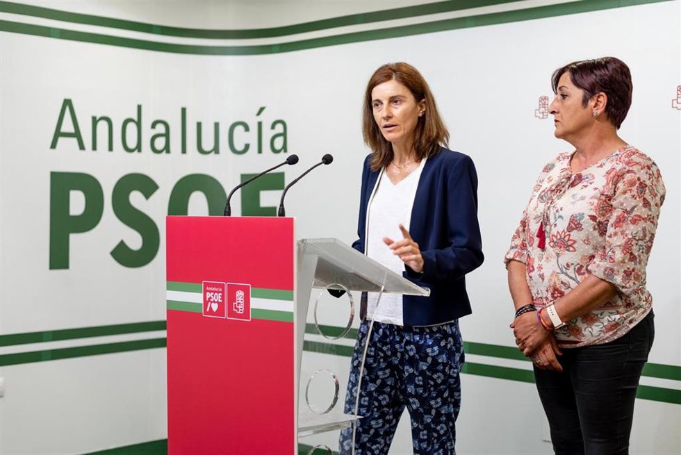 La candidata del PSOE por Almería Pilar Navarro en rueda de prensa
