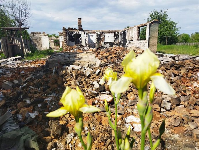Zonas bombeardas de Ucrania