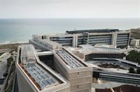 El 45% de los jóvenes españoles compra falsificaciones a propósito y el 25% accede a contenido pirateado, según la Euipo