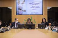 El Gobierno Vasco confía en que su estrategia contra la violencia hacia la infancia aflore el maltrato "invisibilizado"