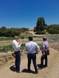 El delegado de desarrollo Sostenible participa en una visita técnica a actuaciones en una vía pecuaria de Cártama