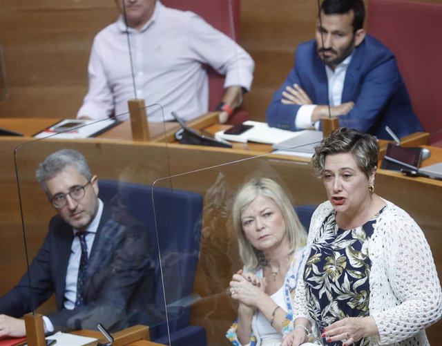 La nueva consellera de Educación, Raquel Tamarit, interviene en el pleno de Les Corts