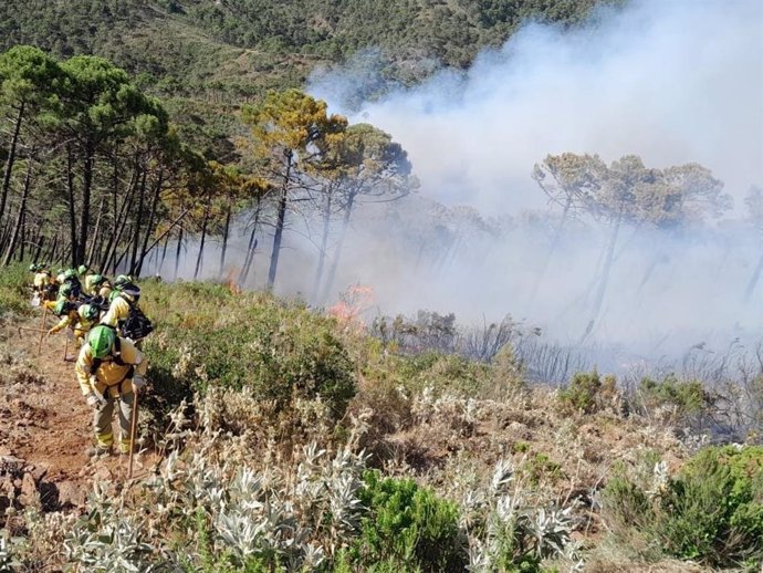 Incendio forestal de Pujerra