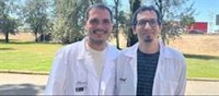 Un estudio identifica las implicaciones de los patrones de comorbilidad en pacientes críticos con COVID
