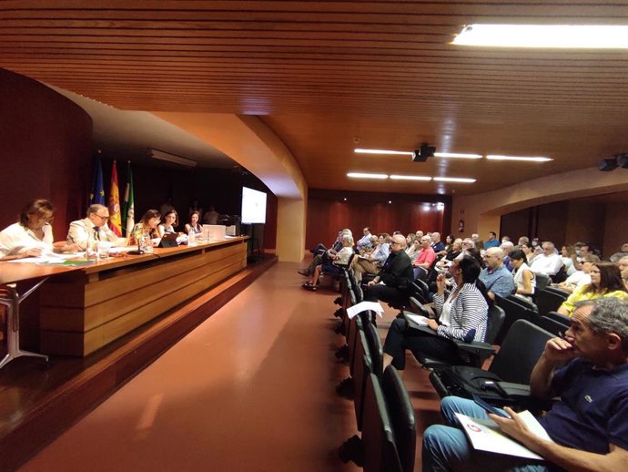 Subasta pública de la Junta de Andalucía