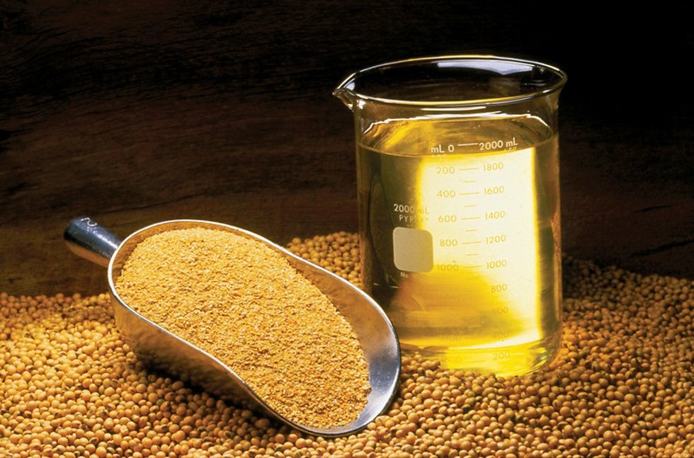 Archivo - Aceite de soja.