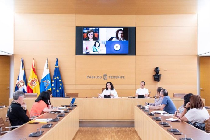 La consejera de Empleo, Desarrollo Socioeconómico y Acción Exterior del Cabildo de Tenerife, Carmen Luz Baso, mantiene un encuentro con las entidades sociales sin fines de lucro de la Isla