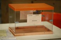 El Congreso acaba con el voto rogado que desde 2011 se exige a los electores que viven en el extranjero