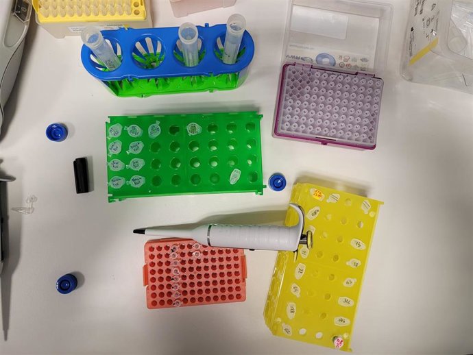 Imagen de los estudios desarrollados en laboratorio