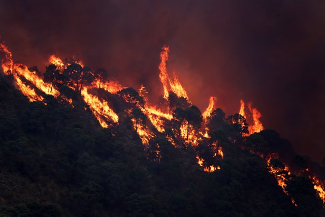 Incendio forestal del Pujerra 