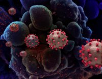 Once virus marinos pueden ayudar a mitigar el cambio climático