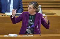 Bastidas: "Prevaricación, omisión de delito y abandono de menores parece no ser suficiente para que Puig cese a Oltra"