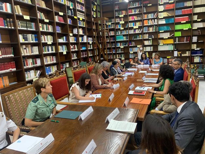 Comisión Territorial de Violencia de Género