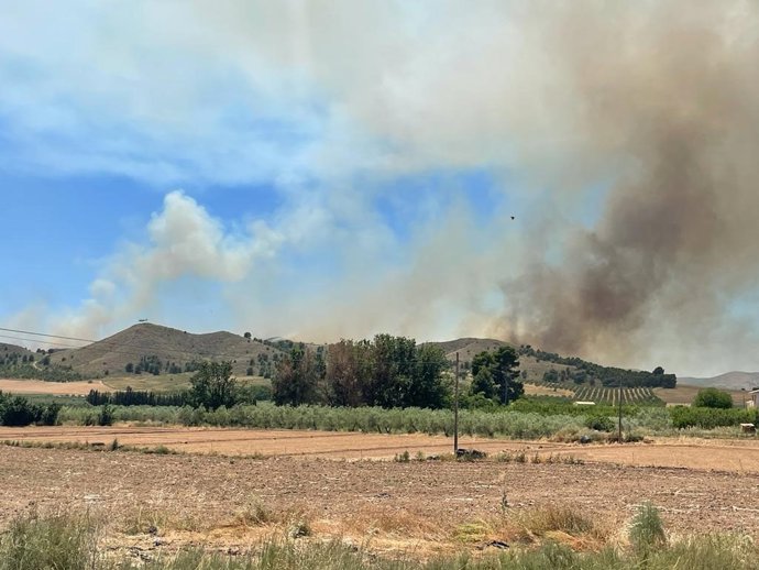 Incendio en Agra (Hellín, Albacete).