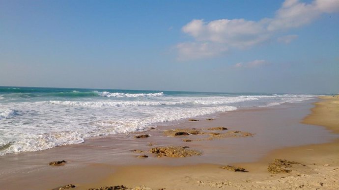 Archivo - Playa de El Palmar (Cádiz) en una imagen de archivo