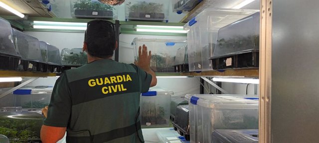 Imagen del laboratorio de marihuana encontrado por la Guardia Civil en Alhendín (Granada).