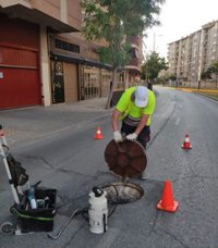 El Ayuntamiento de Jaén intensifica las labores de desratización y desinsectación y prevé superar los 6.000 tratamientos