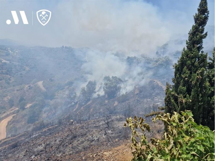 Imagen del incendio forestal en el término municipal de Torrox el sábado 11 de junio de 2022