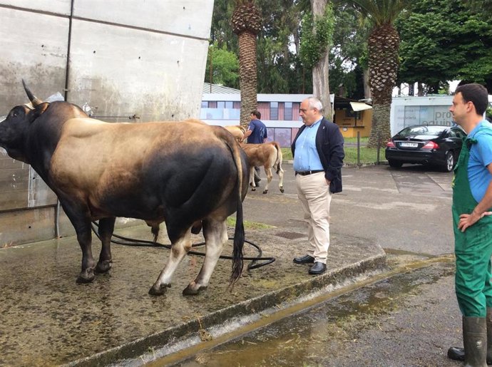 Javier Brea en la Feria de San Antonio.