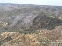Un centenar de efectivos trabajan en la extinción de un incendio forestal en Pozoblanco (Córdoba)