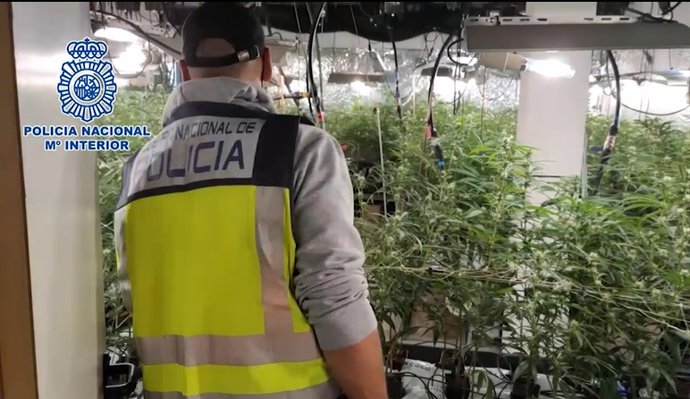 Vídeo de la noticia