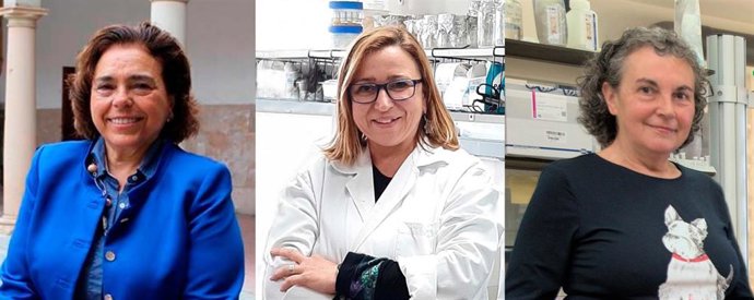 Las investigadoras asturianas Adonina Tardón, Rosa María Sainz y Eva García Vázquez