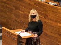 Vox urge al Principado a actualizar el protocolo de acoso escolar e incorporar psicólogos educativos en los colegios