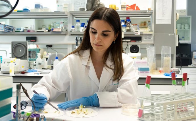 La investigadora María Victoria Berlanga, una de las responsables de un trabajo que ha demostrado que ciertas moléculas bacterianas aumentan el crecimiento de plantas y las protegen frente a hongos de manera sostenible.