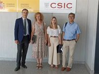 Identifican un gen que mejora cualidades nutricionales del trigo