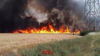 Un incendi obliga a tallar la circulació de les R11 i RG1 de Rodalies a Celrà (Girona)