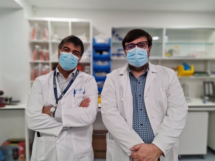 Dirigida por los doctores Enrique González- Billalabeitia y David Olmos, especialistas en oncología médica y consolidados expertos en Este tipo de cáncer.