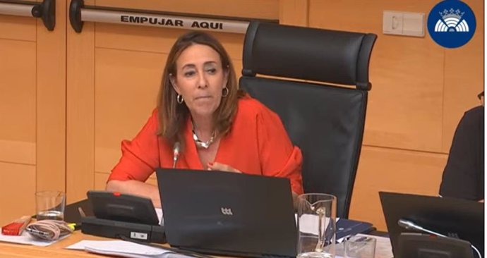 La parlamentaria socialista Rosa Rubio, durante su intervención en la Comisión de Economía y Hacienda.