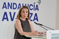 Gamarra dice que "no conocían" el recurso en que pedían la absolución de Bárcenas: "Se han dado explicaciones oportunas"