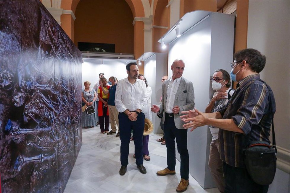 Imagen de la exposición de Pico Reja en el Ayuntamiento