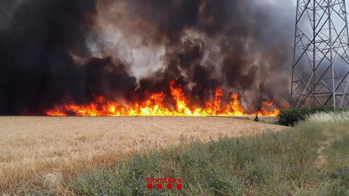 Imagen del incendio en Celr (Girona)