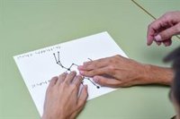 Bautizan como 'UCAC4 459-092739' la estrella descubierta por alumnado invidente canario