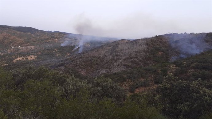 Imagen de la zona afectada por el incendio en Pozoblanco.