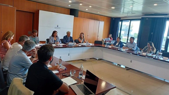 Reunión de la Comisión de Memoria Histórica para aprobar el catálogo de vestigios franquistas de Santa Cruz de Tenerife