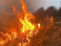 El Gobierno regional da "pautas" a los ayuntamientos ante incendios forestales, que han quemado ya 5.500 Ha este año