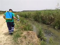 La Diputación de Cádiz emprende nuevos tratamientos frente a larvas de mosquitos en Vejer y Barbate