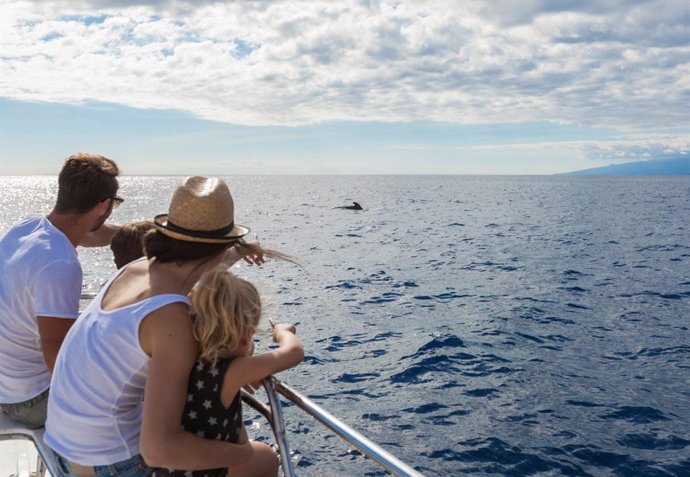 Archivo - Avistamiento de cetáceos en Tenerife.