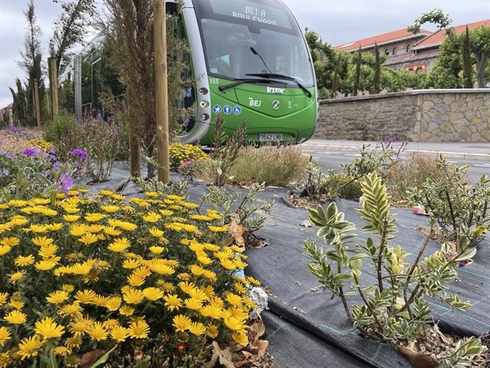 Plantas en la trama del bus eléctrico en Vitoria