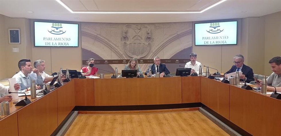 El consejero de Desarrollo AutonómicO, José Ángel Lacalzada, ha comparecido en el Parlamento para informar y ofrecer detalles de la declaración de PIER al proyecto de Transportes Royo