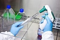 Aprobada la Estrategia de Investigación de Andalucía, Horizonte 2027, que busca llegar a 21.250 investigadores