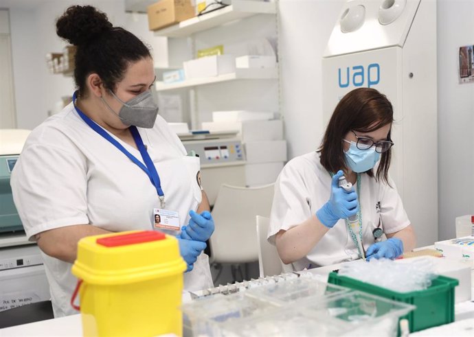Varios técnicos de laboratorio trabaja con pruebas PCR en el Laboratorio de Microbiología del Hospital público Gregorio Marañón