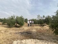 Moreno expresa apoyo al cooperativismo agrario en el olivar y lamenta una PAC  "injusta" con el campo andaluz