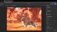 Adobe planea hacer gratuita la versión web de Photoshop, según The Verge
