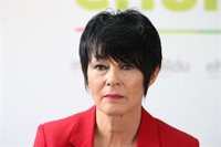 EH Bildu cree que el Gobierno Vasco hace "marketing" con las directrices de Presupuestos y pide debatir sobre fiscalidad